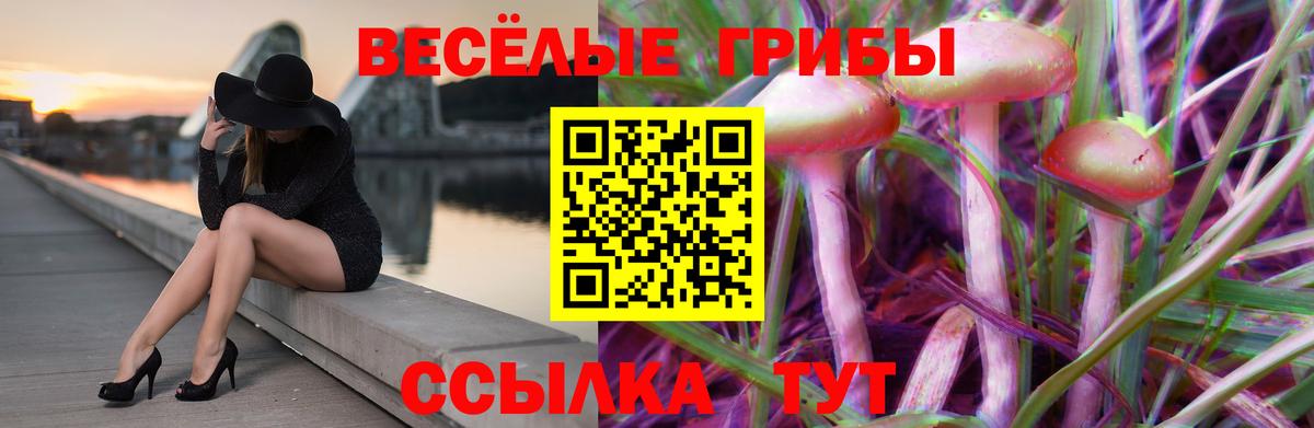 Кокаин  Alpha PVP СК кристаллы  Вход с VPN  Меф МЯУ МЯУ  Магадан  Конопля  Гашиш  Cocaine  Мефедрон  