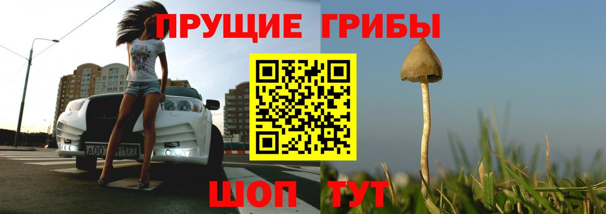 Псилоцибиновые грибы мухоморы Магадан